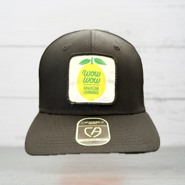 Wow Wow Lemon Patch Snapback Hat